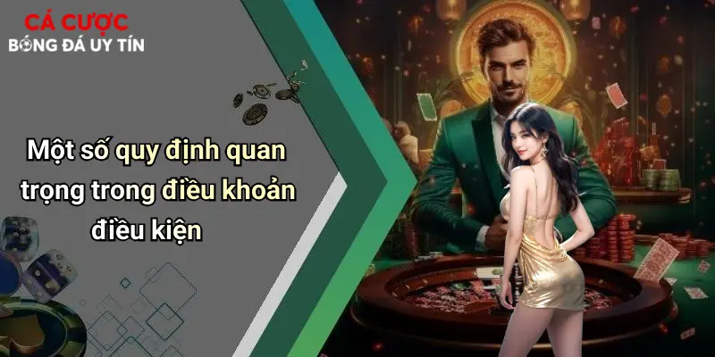 Một số quy định quan trọng trong điều khoản điều kiện