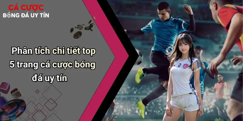 Phân tích chi tiết top 5 trang cá cược bóng đá uy tín