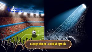 Cá cược bóng đá – cơ hội và cạm bẫy
