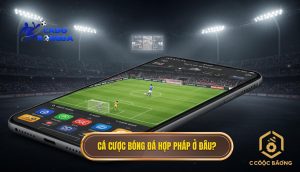 Cá cược bóng đá hợp pháp ở đâu_