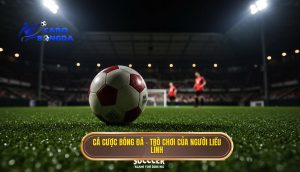 Cá cược bóng đá – trò chơi của người liều lĩnh