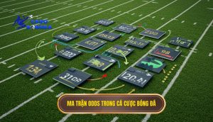 Ma trận odds trong cá cược bóng đá