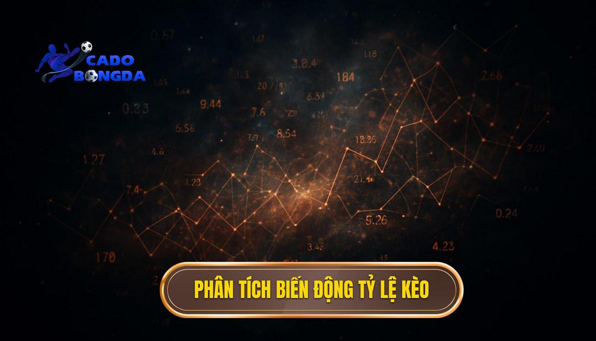 Phân Tích Chuyên Sâu Biến Động Tỷ Lệ Kèo