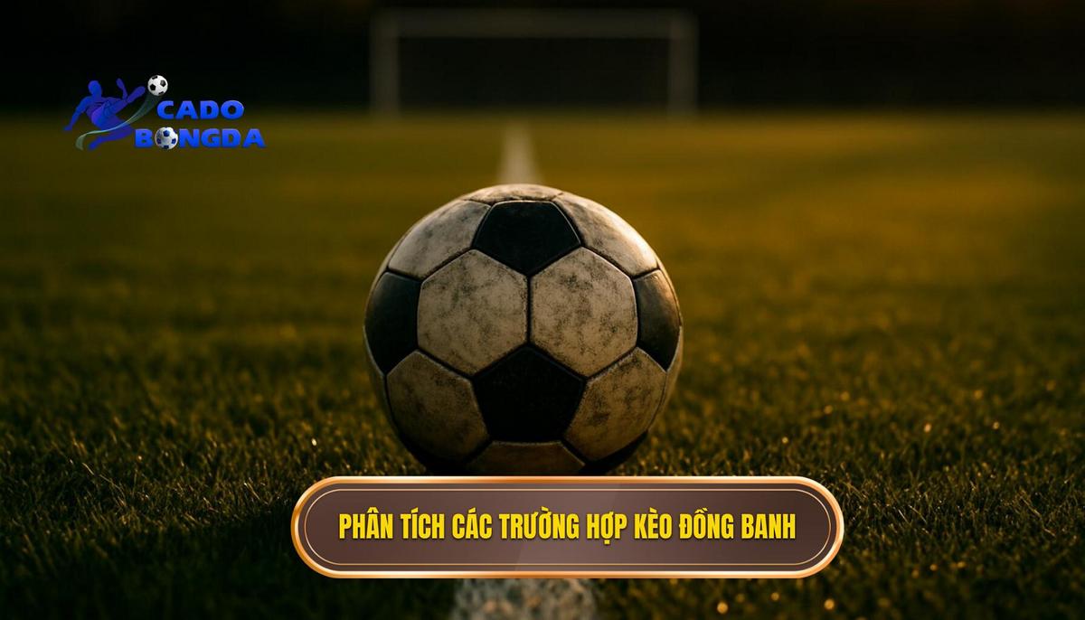 Phân Tích Chuyên Sâu Các Trường Hợp Áp Dụng Kèo Đồng Banh