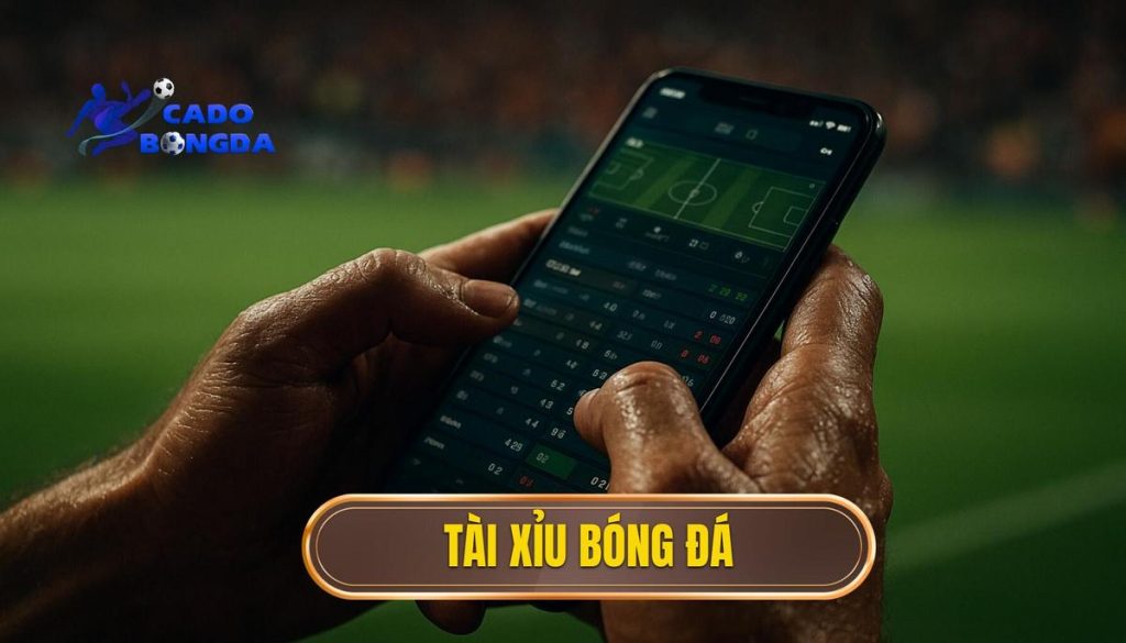 Tài xỉu bóng đá