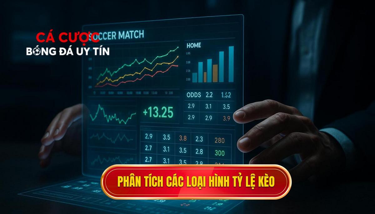 Phân tích chuyên sâu các loại hình tỷ lệ kèo phổ biến