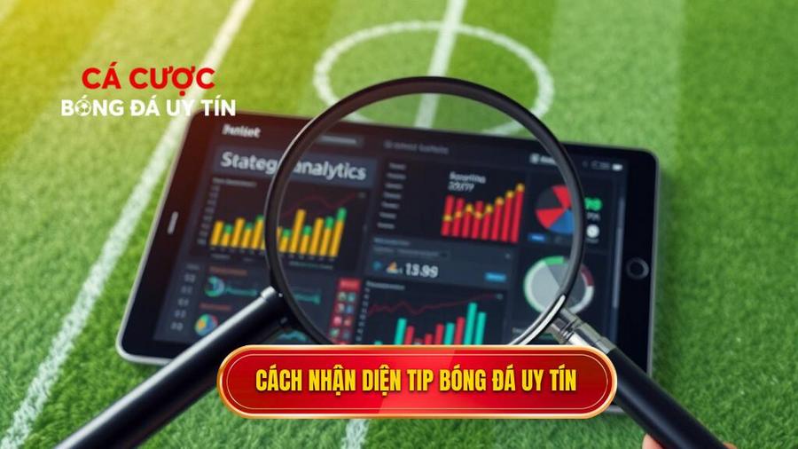 Cách nhận diện nguồn Tip bóng đá miễn phí uy tín