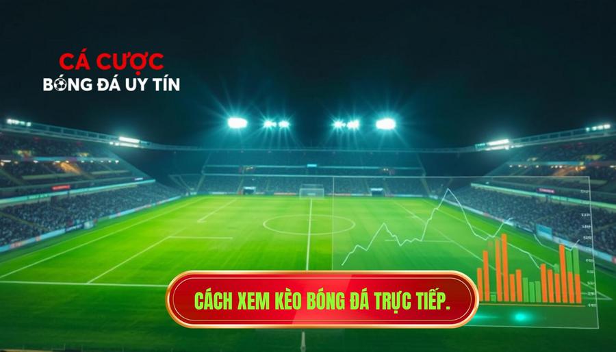 1. Cách xem kèo bóng đá trực tiếp.