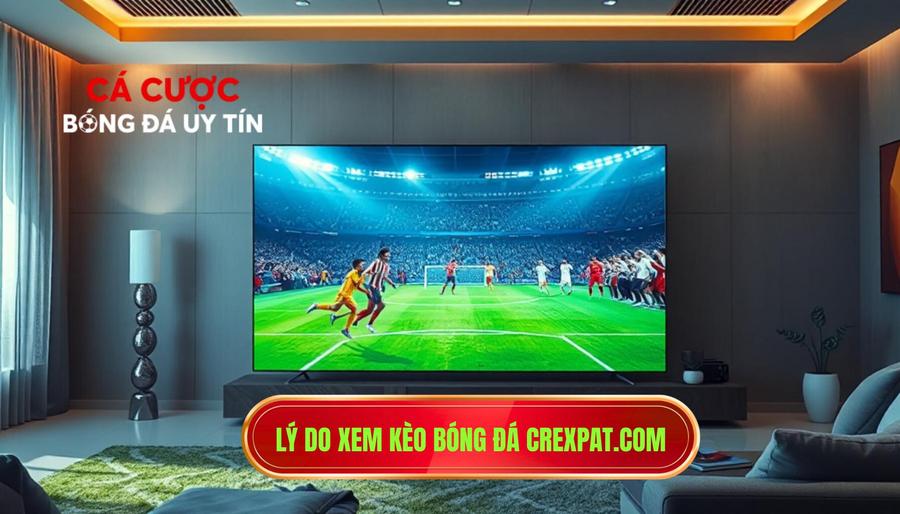 3. Lý do xem kèo bóng đá crexpat.com