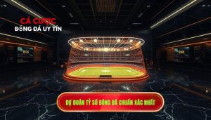Dự đoán tỷ số bóng đá chuẩn xác nhất